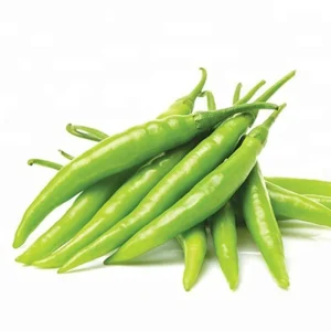 Green Chili — 1 Kg