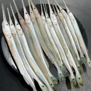 Gar / Kakila