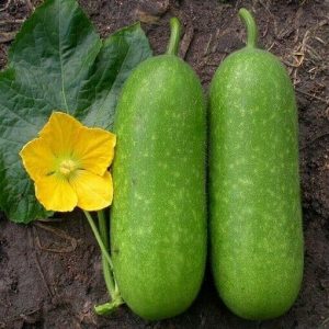 Jali — 1 Kg