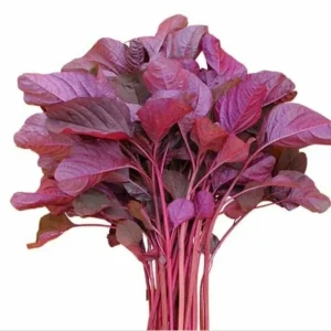 Lalshak — 1 Kg
