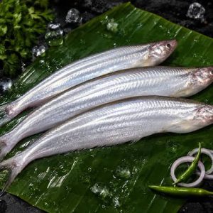 Baspata