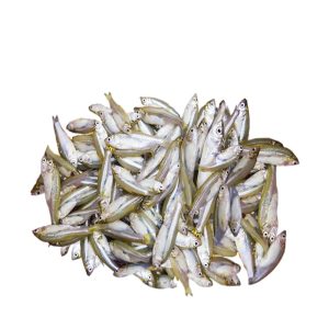 Deshi Moilla