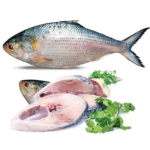 Hilsha (Chandpur /BD) — 800 gm+