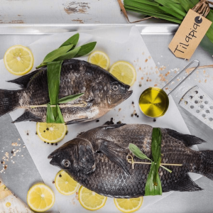 Tilapia black — 1 box